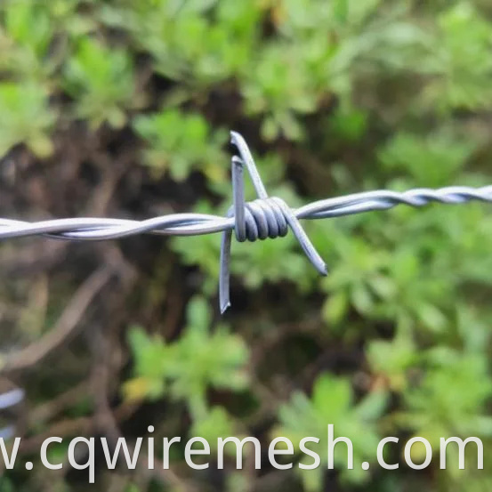 Factory Supply Hot Dipped Barb Wire Razor Galvanized Razor Anti-Rust Barbed Wire Fence Farm Fence